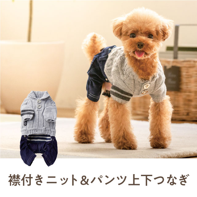 襟付ニット&パンツ上下つなぎ グレー