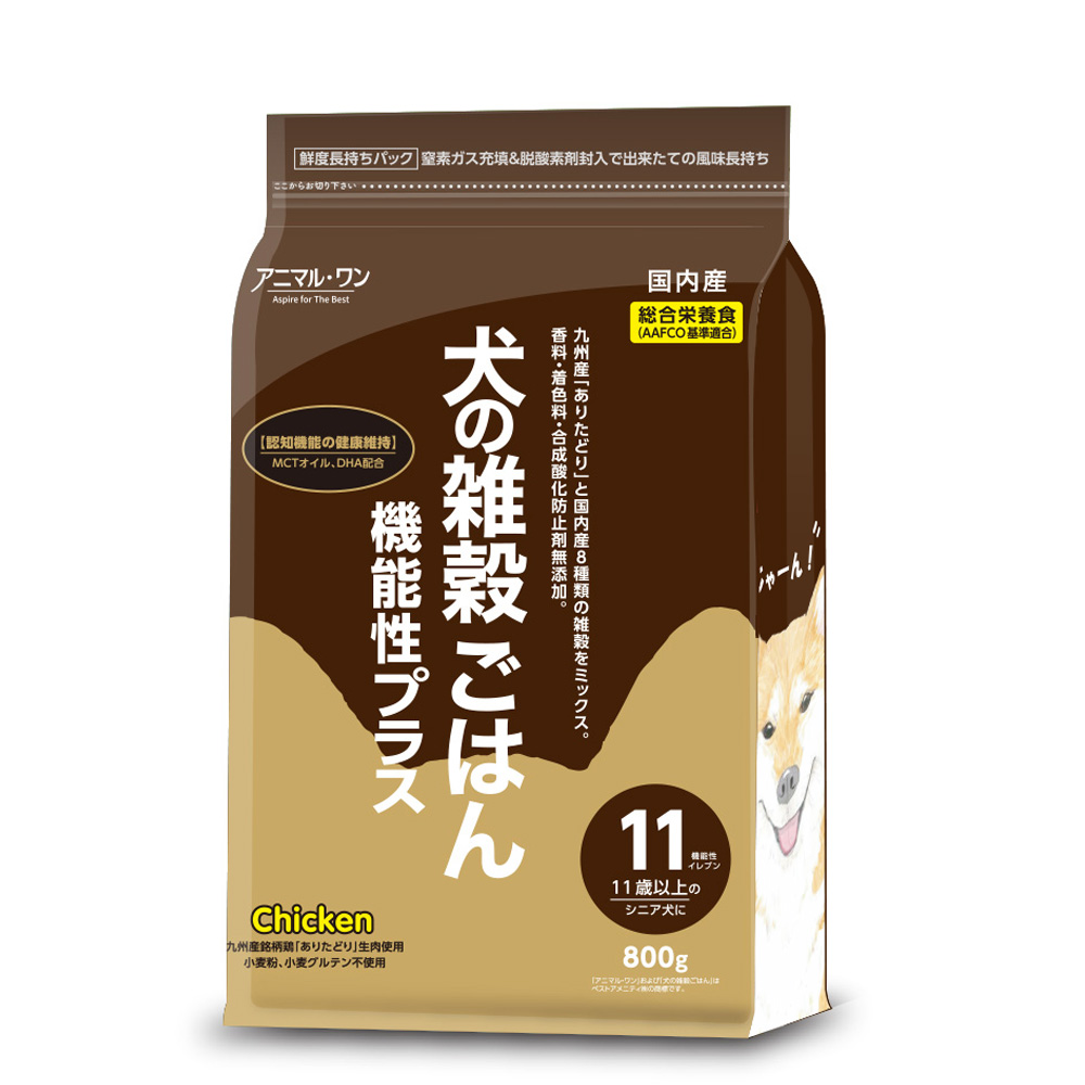 シニア　ベスト　１１号