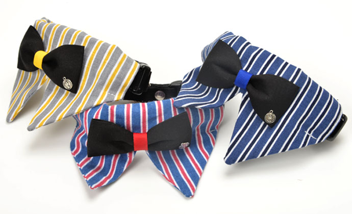 Dog Amo.k カラー パーティーカラー