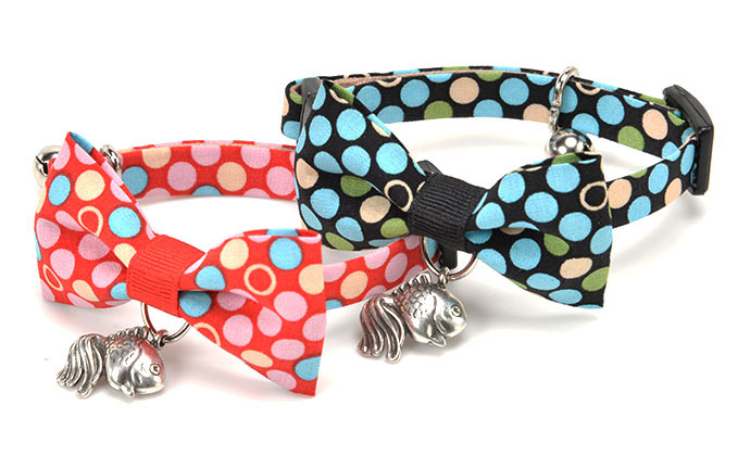 Cat Amo.k カラー 金魚 S ブラック