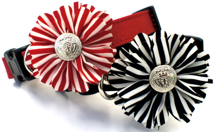 Dog Amo.k カラー ガーベラ