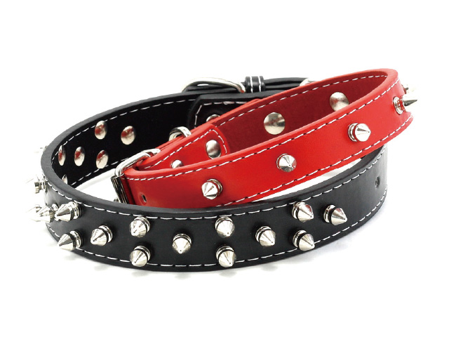 ワイルドカラー リード中