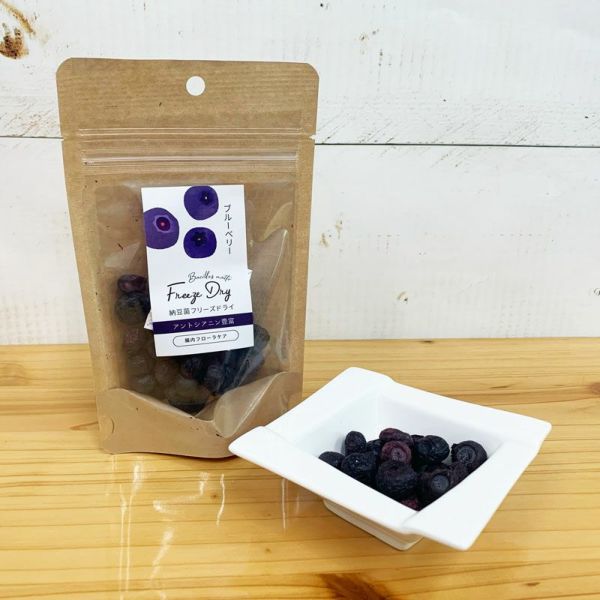 ドクターズチョイス 納豆菌 フリーズドライ ブルーベリー 8g