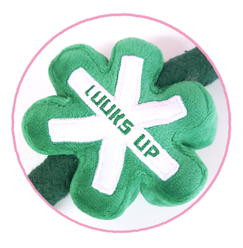 スノーフレーク