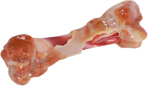 M-PETS CARNIVORE ドッグトイ セイボリーボーン