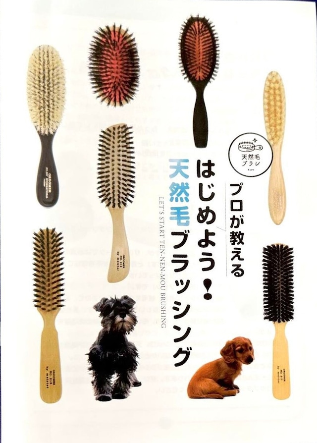 プロが教える はじめよう！ 天然毛ブラッシング 10部1セット