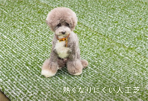 遮熱人工芝 コンフォニーターフ