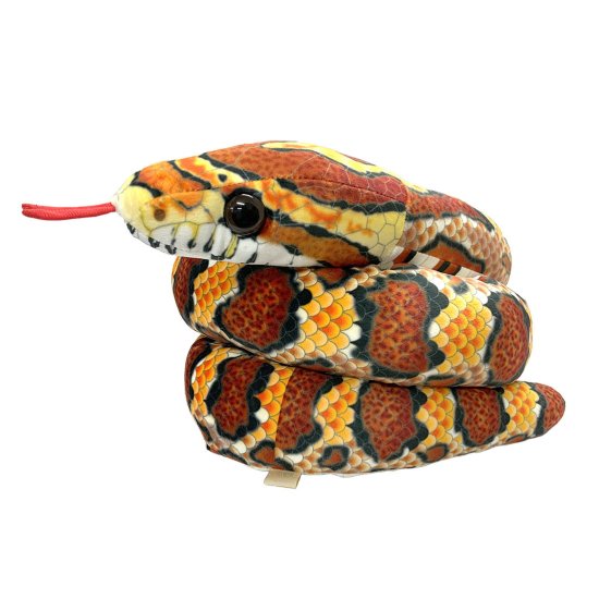 コーンスネーク