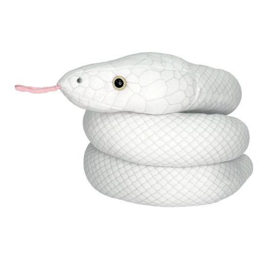 シロヘビ（リューシズム）