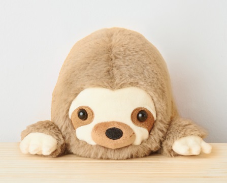 ナマケモノ
