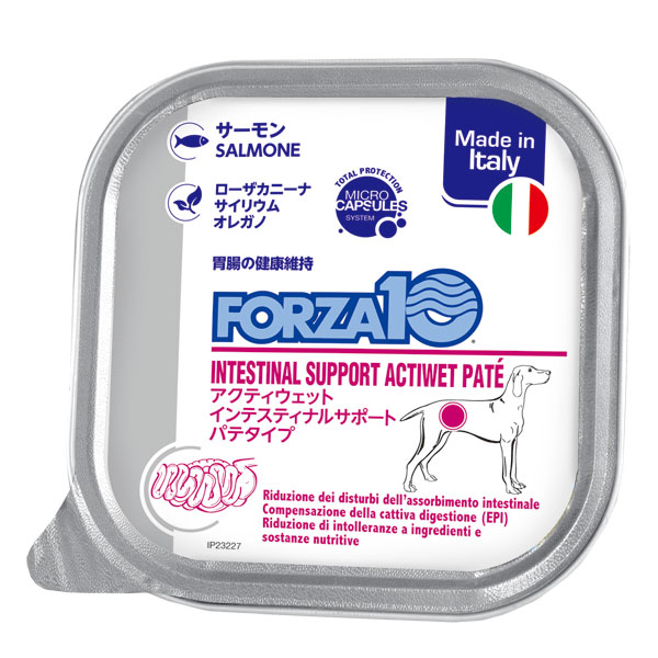 フォルツア10 愛犬用 アクティウェット インテスティナル サーモン（胃腸） 100g