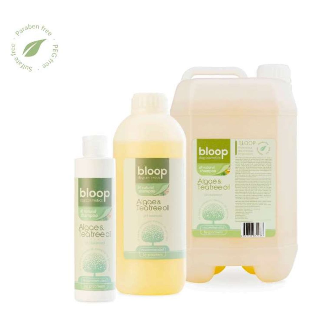 bloop　アルジー＆ティーツリーオイルシャンプー 1000ml