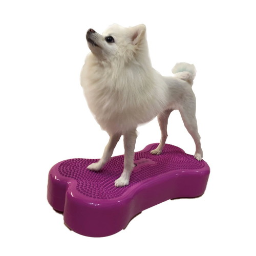 アプリア バランスボーン