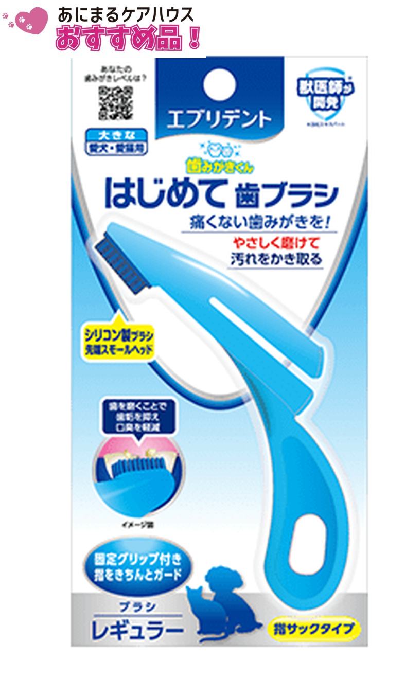 エブリデント はじめて 歯ブラシ レギュラー