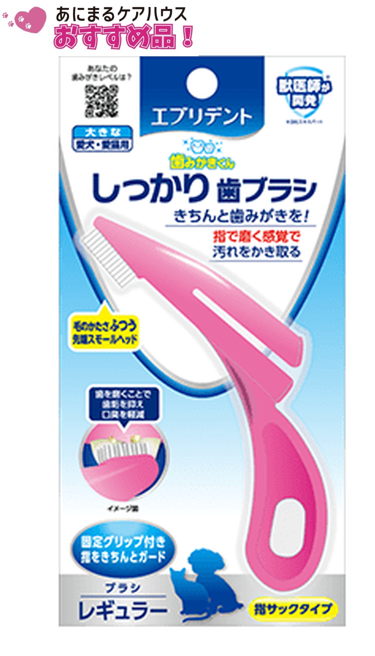 エブリデント しっかり 歯ブラシ レギュラー