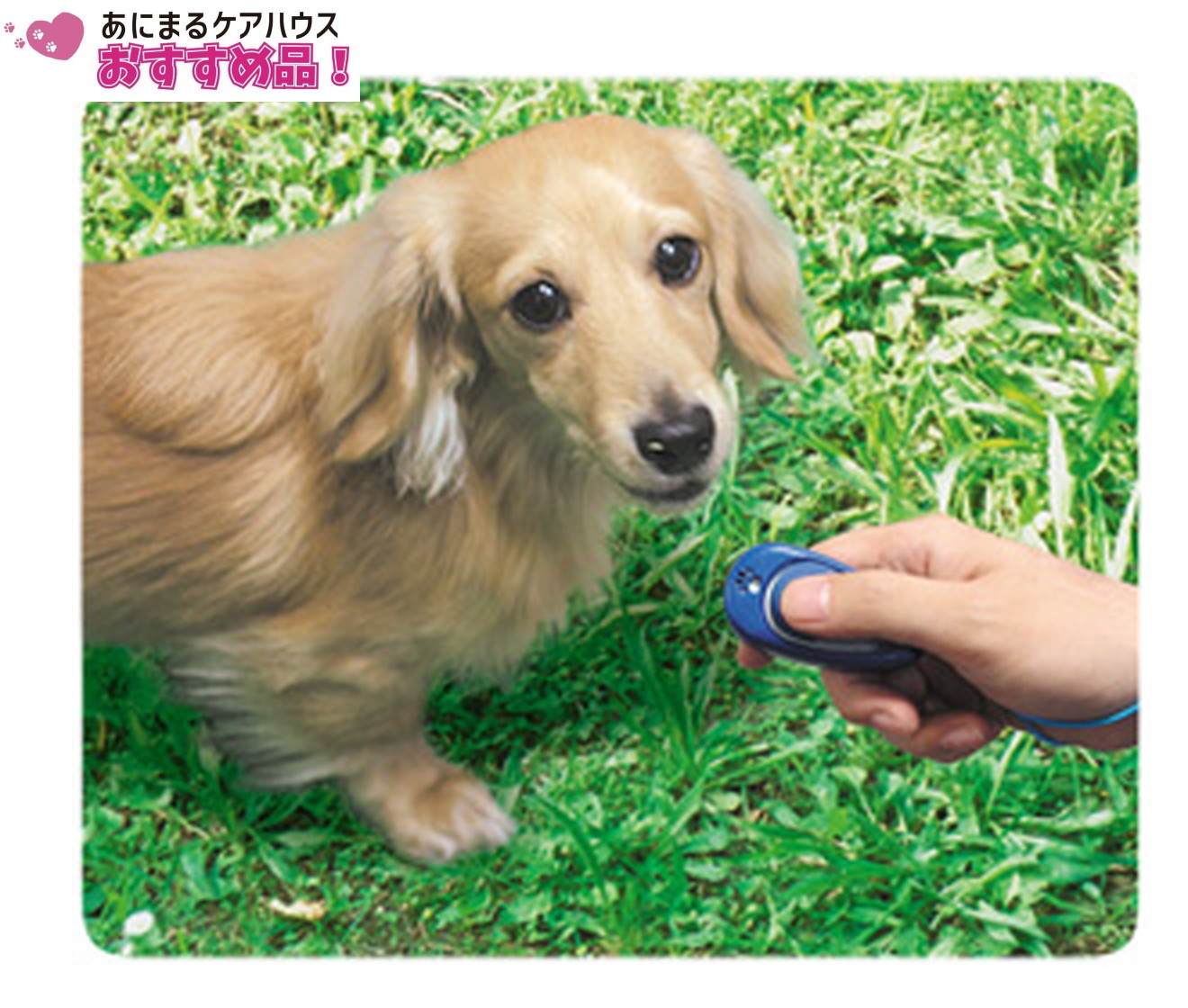 マルチクリッカー