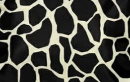 ジラフブラック