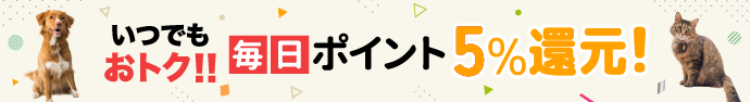 Nekoリビング キャティー SKYウォーク/あにまるキャンパス Nekoリビング キャティー SKYウォーク/あにまるキャンパス
