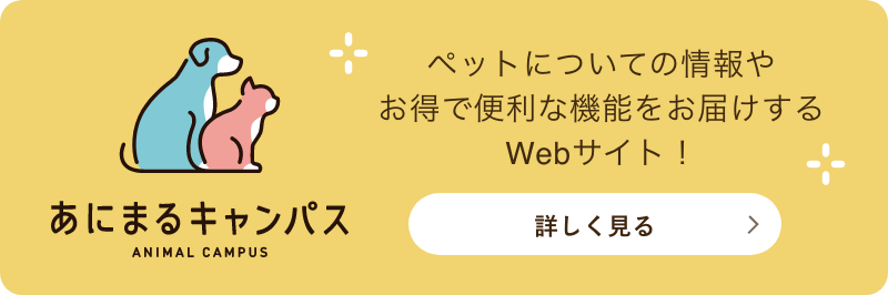 ペットについての情報やお得で便利な機能をお届けするWebサイト！